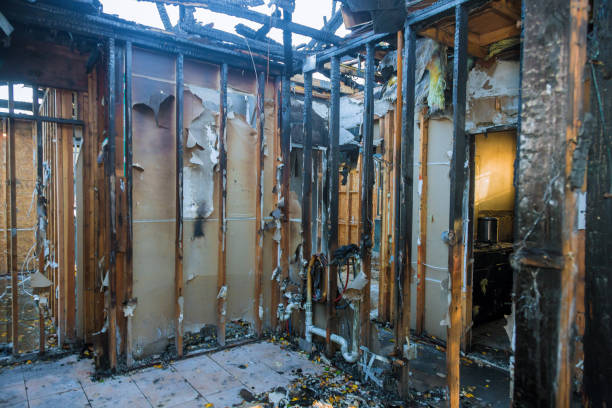 Professional Fire Damage Removal technician working in Anderson Island, WA